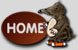 Zurck zur Homepage